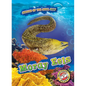 Moray Eels - Library Binding