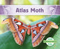 Atlas Moth - Library Binding