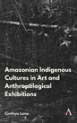 Amazonian Indigenous Cultures in Art and Anthropological Exhibitions - Hardcover