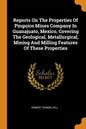 Reports on the Properties of Pinguico Mines Company in Guanajuato, Mexico, Covering the Geological, Metallurgical, Mining and Milling Features of Thes - Paperback