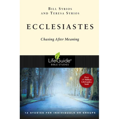 Ecclesiastes: Chasing After Meaning - Paperback