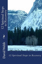 12 Spiritual Steps to Recovery - Paperback