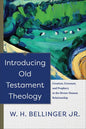 Introducing Old Testament Theology - Hardcover