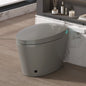 Smart Toilet with Bidet Built in, Bidet Toilet with Heated Seat, Foot Kick,Wa...