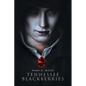Tennessee Blackberries - Paperback
