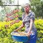 Onika Wants to Help: A True Story of Inclusion - Paperback