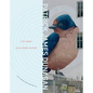 City Bird and Other Poems: City Lights Spotlight Series No 24 - Paperback