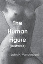 The Human Figure - Paperback
