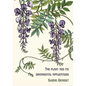 The plant and its ornamental applications - Paperback