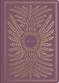 ESV Illuminated Scripture Journal: Ruth - Paperback