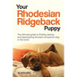 Your Rhodesian Ridgeback Puppy: The ultimate guide to finding, rearing and appreciating the best companion dog in the world - Paperback