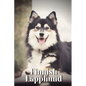 Finnish Lapphund: Dog breed overview and guide - Paperback