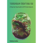 Terrarium Crafting 101: A Step-by-Step Guide to DIY Green Spaces - Paperback