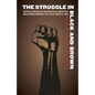 The Struggle in Black and Brown: African American and Mexican American Relations During the Civil Rights Era - Paperback