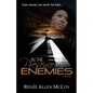 In the Presence of My Enemies - Paperback