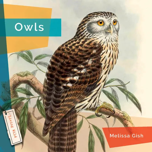 Owls - Library Binding