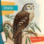 Owls - Library Binding