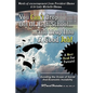 You Can't Drop Out of High School and Drop Into a Job: Avoiding the Ocean of Economic and Social Instability - Paperback