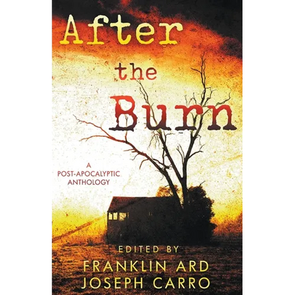 After the Burn - Paperback