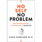 No Self, No Problem: How Neuropsychology Is Catching Up to Buddhism - Paperback