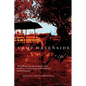 Camp Havenside - Paperback