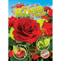 See a Rose Grow - Library Binding