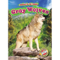 Gray Wolves - Library Binding