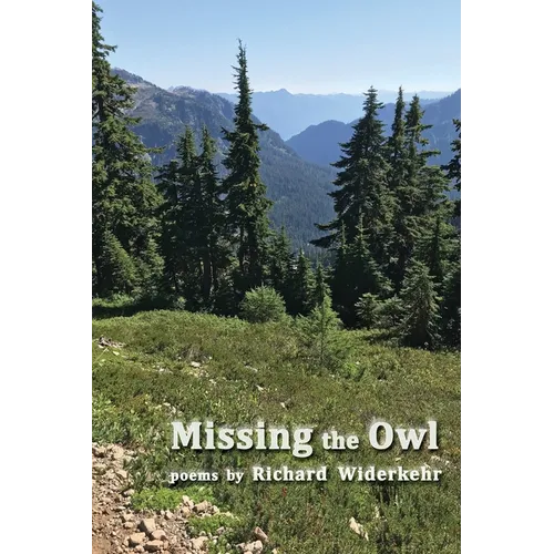 Missing the Owl - Paperback