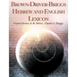 Brown-Driver-Briggs Hebrew and English Lexicon - Paperback