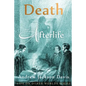Death and the Afterlife - Paperback