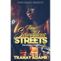 These Scandalous Streets 3 - Paperback