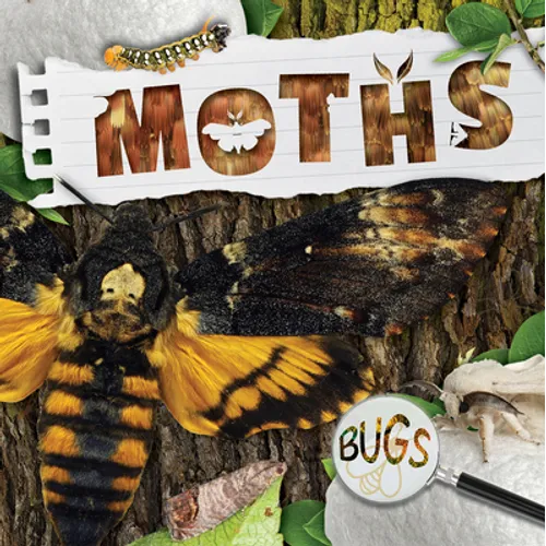 Moths - Library Binding