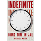 Indefinite: Doing Time in Jail - Hardcover