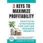 3 Keys to Maximize Profitability - Practical Strategies for Lasting Business Growth - Paperback