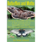 Butterflies and Moths: All about Butterflies and Moths, a Kids Introduction to Butterflies and Moths-Fun Facts and Fantastic Photos! - Paperback