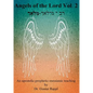 Angels of the Lord Vol. 2: An apostolic-prophetic-messianic teaching - Paperback