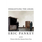 Dismantling the Angel - Paperback