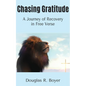 Chasing Gratitude: A Journey of Recovery in Free Verse - Paperback