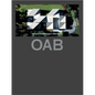 Oab (Updated): Office of Architecture in Barcelona - Hardcover