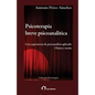 Psicoterapia breve psicoanalítica: Una experiencia de psicoanálisis aplicado. Clínica y teoría - Paperback