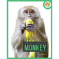 Monkey - Paperback