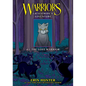 Graystripe's Adventure #1: The Lost Warrior: The Lost Warrior - Library Binding