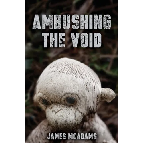 Ambushing the Void - Paperback