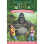 Good Morning, Gorillas - Hardcover