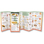 Common Mushrooms of California