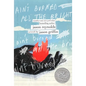 Ain't Burned All the Bright - Hardcover