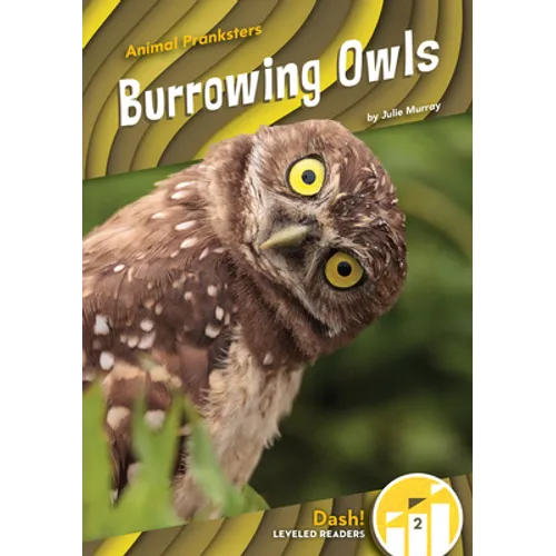 Burrowing Owls - Library Binding