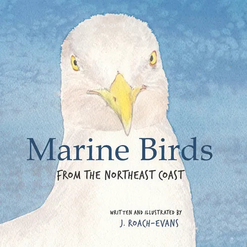 Marine Birds: from the Northeast Coast - Paperback