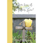 Where have all the Fathers Gone? - Paperback