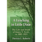 A Lynching in Little Dixie: The Life and Death of James T. Scott, ca. 1885-1923 - Paperback